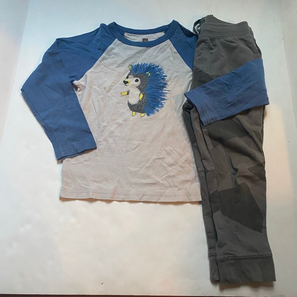 Tea Collection Hedgehog Long Sleeve Shirt Pants Outfit